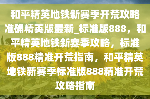 和平精英地铁新赛季开荒攻略准确精英版最新_标准版888，和平精英地铁新赛季攻略，标准版888精准开荒指南，和平精英地铁新赛季标准版888精准开荒攻略指南