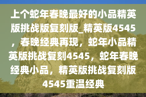 上个蛇年春晚最好的小品精英版挑战版复刻版_精英版4545，春晚经典再现，蛇年小品精英版挑战复刻4545，蛇年春晚经典小品，精英版挑战复刻版4545重温经典