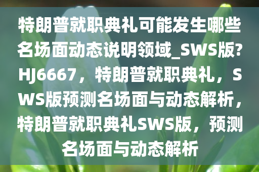 特朗普就职典礼可能发生哪些名场面动态说明领域_SWS版?HJ6667，特朗普就职典礼，SWS版预测名场面与动态解析，特朗普就职典礼SWS版，预测名场面与动态解析