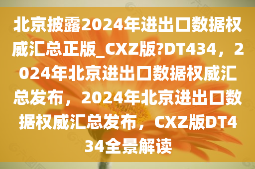 北京披露2024年进出口数据权威汇总正版_CXZ版?DT434，2024年北京进出口数据权威汇总发布，2024年北京进出口数据权威汇总发布，CXZ版DT434全景解读