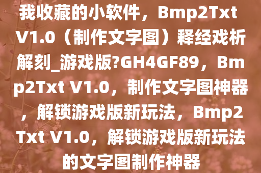 我收藏的小软件，Bmp2Txt V1.0（制作文字图）释经戏析解刻_游戏版?GH4GF89，Bmp2Txt V1.0，制作文字图神器，解锁游戏版新玩法，Bmp2Txt V1.0，解锁游戏版新玩法的文字图制作神器