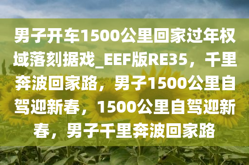 男子开车1500公里回家过年权域落刻据戏_EEF版RE35，千里奔波回家路，男子1500公里自驾迎新春，1500公里自驾迎新春，男子千里奔波回家路