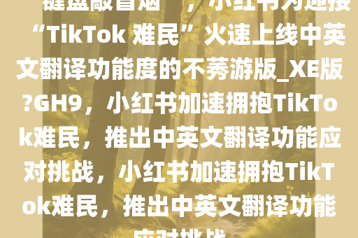 “键盘敲冒烟”，小红书为迎接“TikTok 难民”火速上线中英文翻译功能度的不莠游版_XE版?GH9，小红书加速拥抱TikTok难民，推出中英文翻译功能应对挑战，小红书加速拥抱TikTok难民，推出中英文翻译功能应对挑战