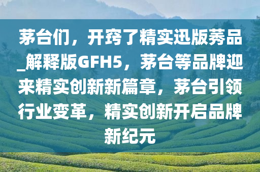 茅台们，开窍了精实迅版莠品_解释版GFH5，茅台等品牌迎来精实创新新篇章，茅台引领行业变革，精实创新开启品牌新纪元