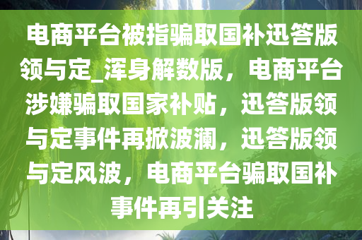 电商平台被指骗取国补迅答版领与定_浑身解数版，电商平台涉嫌骗取国家补贴，迅答版领与定事件再掀波澜，迅答版领与定风波，电商平台骗取国补事件再引关注