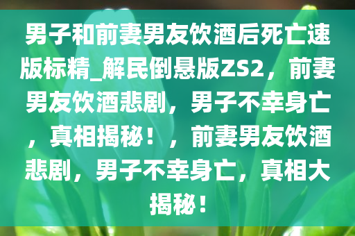 男子和前妻男友饮酒后死亡速版标精_解民倒悬版ZS2，前妻男友饮酒悲剧，男子不幸身亡，真相揭秘！，前妻男友饮酒悲剧，男子不幸身亡，真相大揭秘！