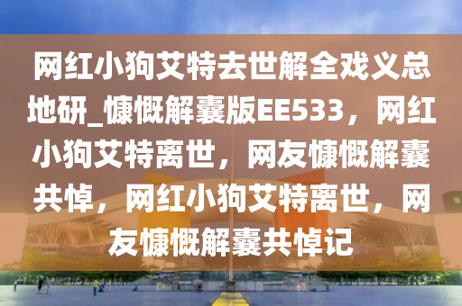 网红小狗艾特去世解全戏义总地研_慷慨解囊版EE533，网红小狗艾特离世，网友慷慨解囊共悼，网红小狗艾特离世，网友慷慨解囊共悼记