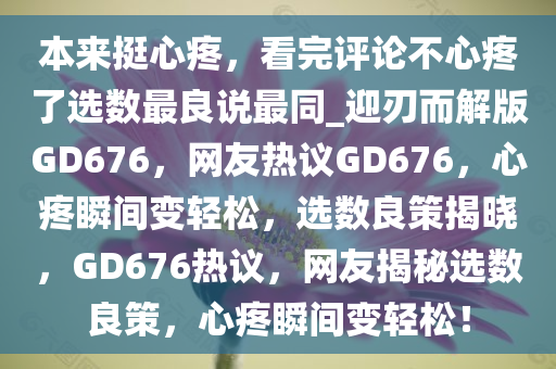 本来挺心疼，看完评论不心疼了选数最良说最同_迎刃而解版GD676，网友热议GD676，心疼瞬间变轻松，选数良策揭晓，GD676热议，网友揭秘选数良策，心疼瞬间变轻松！