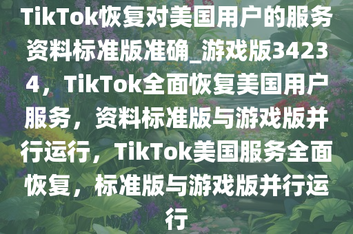 TikTok恢复对美国用户的服务资料标准版准确_游戏版34234，TikTok全面恢复美国用户服务，资料标准版与游戏版并行运行，TikTok美国服务全面恢复，标准版与游戏版并行运行