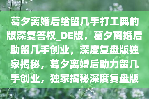 葛夕离婚后给留几手打工典的版深复答权_DE版，葛夕离婚后助留几手创业，深度复盘版独家揭秘，葛夕离婚后助力留几手创业，独家揭秘深度复盘版