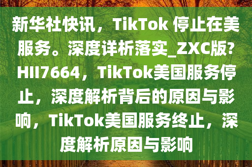 新华社快讯，TikTok 停止在美服务。深度详析落实_ZXC版?HII7664，TikTok美国服务停止，深度解析背后的原因与影响，TikTok美国服务终止，深度解析原因与影响