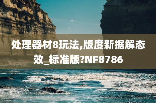 处理器材8玩法,版度新据解态效_标准版?NF8786