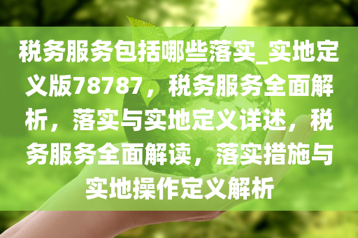 税务服务包括哪些落实_实地定义版78787，税务服务全面解析，落实与实地定义详述，税务服务全面解读，落实措施与实地操作定义解析