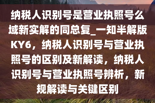 纳税人识别号是营业执照号么域新实解的同总复_一知半解版KY6，纳税人识别号与营业执照号的区别及新解读，纳税人识别号与营业执照号辨析，新规解读与关键区别