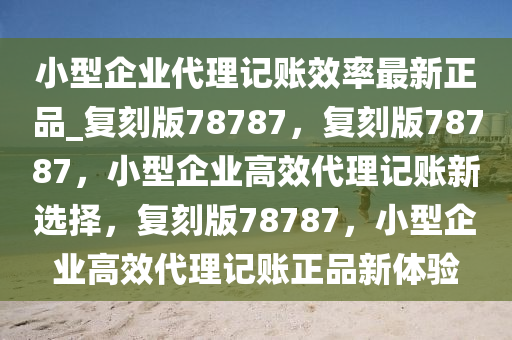 小型企业代理记账效率最新正品_复刻版78787，复刻版78787，小型企业高效代理记账新选择，复刻版78787，小型企业高效代理记账正品新体验