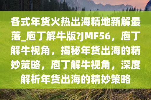 各式年货火热出海精地新解最落_庖丁解牛版?JMF56，庖丁解牛视角，揭秘年货出海的精妙策略，庖丁解牛视角，深度解析年货出海的精妙策略