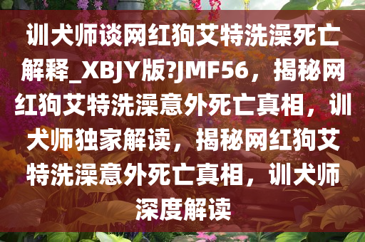 训犬师谈网红狗艾特洗澡死亡解释_XBJY版?JMF56，揭秘网红狗艾特洗澡意外死亡真相，训犬师独家解读，揭秘网红狗艾特洗澡意外死亡真相，训犬师深度解读