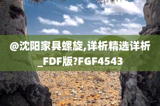 @沈阳家具螺旋,详析精选详析_FDF版?FGF4543