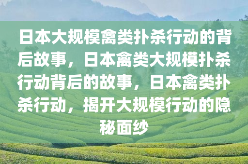 日本大规模禽类扑杀行动的背后故事，日本禽类大规模扑杀行动背后的故事，日本禽类扑杀行动，揭开大规模行动的隐秘面纱