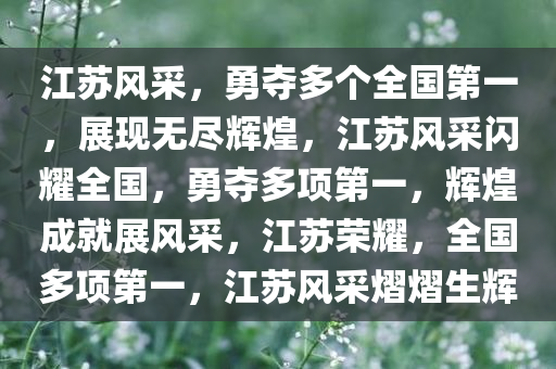 江苏风采，勇夺多个全国第一，展现无尽辉煌，江苏风采闪耀全国，勇夺多项第一，辉煌成就展风采，江苏荣耀，全国多项第一，江苏风采熠熠生辉