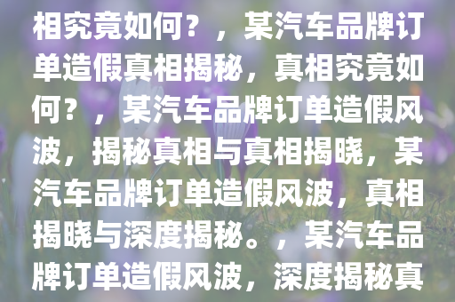 曝某汽车品牌订单大量造假，真相究竟如何？，某汽车品牌订单造假真相揭秘，真相究竟如何？，某汽车品牌订单造假风波，揭秘真相与真相揭晓，某汽车品牌订单造假风波，真相揭晓与深度揭秘。，某汽车品牌订单造假风波，深度揭秘真相