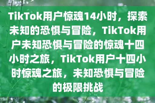 TikTok用户惊魂14小时，探索未知的恐惧与冒险，TikTok用户未知恐惧与冒险的惊魂十四小时之旅，TikTok用户十四小时惊魂之旅，未知恐惧与冒险的极限挑战