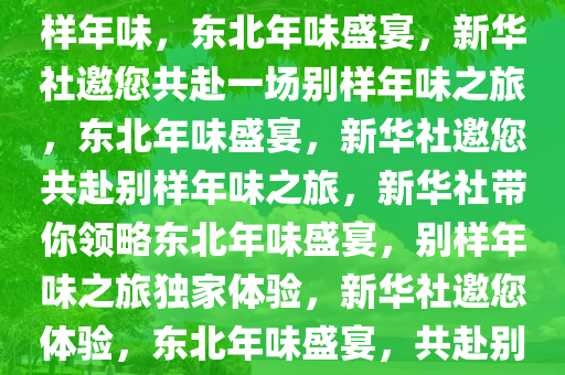 新华社邀您共赴东北，体验别样年味，东北年味盛宴，新华社邀您共赴一场别样年味之旅，东北年味盛宴，新华社邀您共赴别样年味之旅，新华社带你领略东北年味盛宴，别样年味之旅独家体验，新华社邀您体验，东北年味盛宴，共赴别样年味之旅