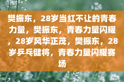 樊振东，28岁当红不让的青春力量，樊振东，青春力量闪耀，28岁风华正茂，樊振东，28岁乒乓健将，青春力量闪耀赛场