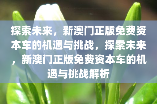 探索未来，新澳门正版免费资本车的机遇与挑战，探索未来，新澳门正版免费资本车的机遇与挑战解析