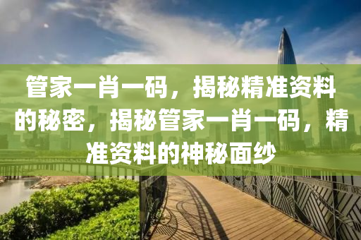 管家一肖一码，揭秘精准资料的秘密，揭秘管家一肖一码，精准资料的神秘面纱