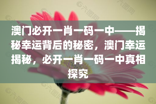 澳门必开一肖一码一中——揭秘幸运背后的秘密，澳门幸运揭秘，必开一肖一码一中真相探究