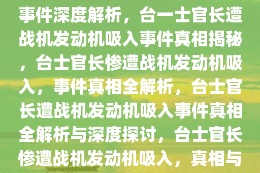 台一士官长遭战机发动机吸入事件深度解析，台一士官长遭战机发动机吸入事件真相揭秘，台士官长惨遭战机发动机吸入，事件真相全解析，台士官长遭战机发动机吸入事件真相全解析与深度探讨，台士官长惨遭战机发动机吸入，真相与深度剖析