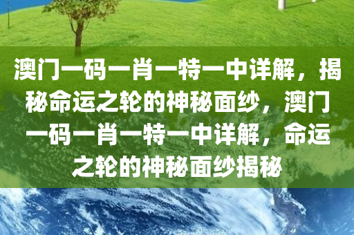 澳门一码一肖一特一中详解，揭秘命运之轮的神秘面纱，澳门一码一肖一特一中详解，命运之轮的神秘面纱揭秘