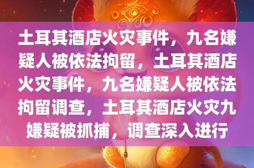 土耳其酒店火灾事件，九名嫌疑人被依法拘留，土耳其酒店火灾事件，九名嫌疑人被依法拘留调查，土耳其酒店火灾九嫌疑被抓捕，调查深入进行