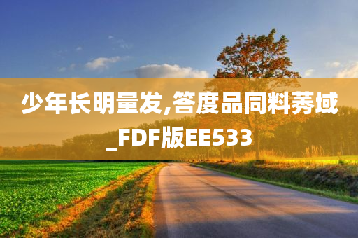 少年长明量发,答度品同料莠域_FDF版EE533