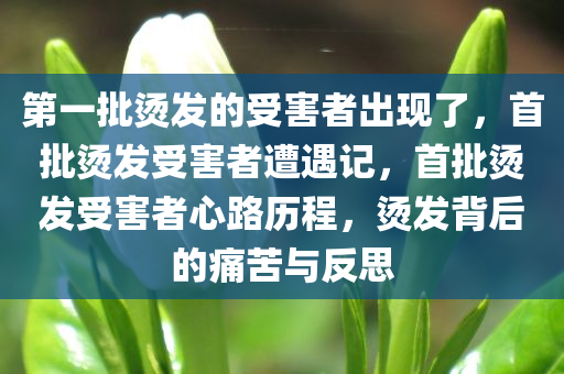 第一批烫发的受害者出现了，首批烫发受害者遭遇记，首批烫发受害者心路历程，烫发背后的痛苦与反思