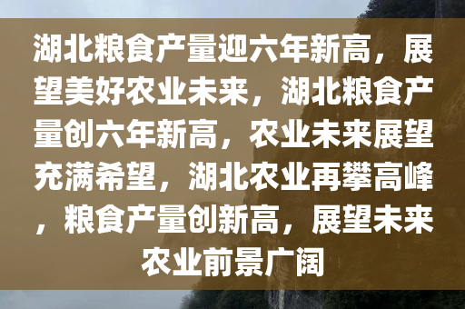 湖北粮食产量迎六年新高，展望美好农业未来，湖北粮食产量创六年新高，农业未来展望充满希望，湖北农业再攀高峰，粮食产量创新高，展望未来农业前景广阔