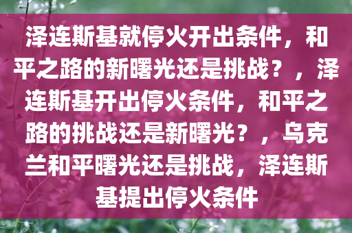 泽连斯基就停火开出条件，和平之路的新曙光还是挑战？，泽连斯基开出停火条件，和平之路的挑战还是新曙光？，乌克兰和平曙光还是挑战，泽连斯基提出停火条件