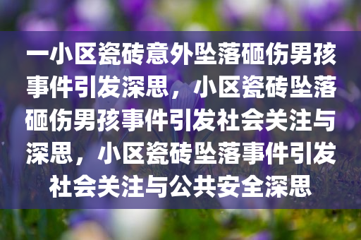 一小区瓷砖意外坠落砸伤男孩事件引发深思，小区瓷砖坠落砸伤男孩事件引发社会关注与深思，小区瓷砖坠落事件引发社会关注与公共安全深思