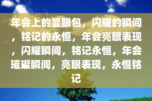 年会上的显眼包，闪耀的瞬间，铭记的永恒，年会亮眼表现，闪耀瞬间，铭记永恒，年会璀璨瞬间，亮眼表现，永恒铭记