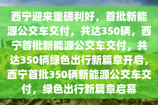 西宁迎来重磅利好，首批新能源公交车交付，共达350辆，西宁首批新能源公交车交付，共达350辆绿色出行新篇章开启，西宁首批350辆新能源公交车交付，绿色出行新篇章启幕