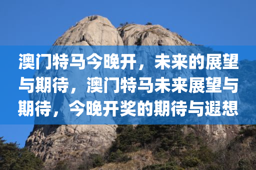 澳门特马今晚开，未来的展望与期待，澳门特马未来展望与期待，今晚开奖的期待与遐想