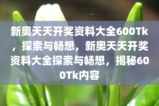 新奥天天开奖资料大全600Tk，探索与畅想，新奥天天开奖资料大全探索与畅想，揭秘600Tk内容