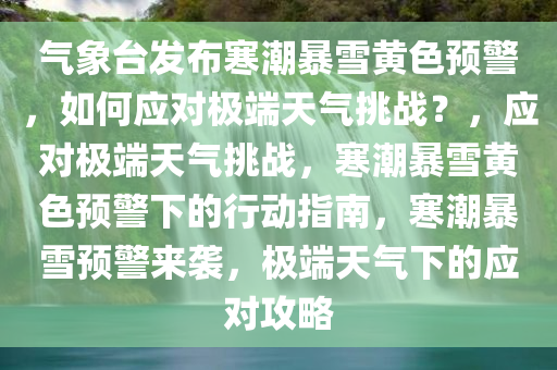 气象台发布寒潮暴雪黄色预警，如何应对极端天气挑战？，应对极端天气挑战，寒潮暴雪黄色预警下的行动指南，寒潮暴雪预警来袭，极端天气下的应对攻略