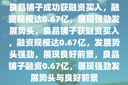 良品铺子成功获融资买入，融资规模达0.67亿，展现强劲发展势头，良品铺子获融资买入，融资规模达0.67亿，发展势头强劲，展现良好前景，良品铺子融资0.67亿，展现强劲发展势头与良好前景