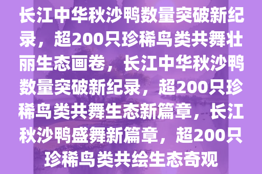 长江中华秋沙鸭数量突破新纪录，超200只珍稀鸟类共舞壮丽生态画卷，长江中华秋沙鸭数量突破新纪录，超200只珍稀鸟类共舞生态新篇章，长江秋沙鸭盛舞新篇章，超200只珍稀鸟类共绘生态奇观