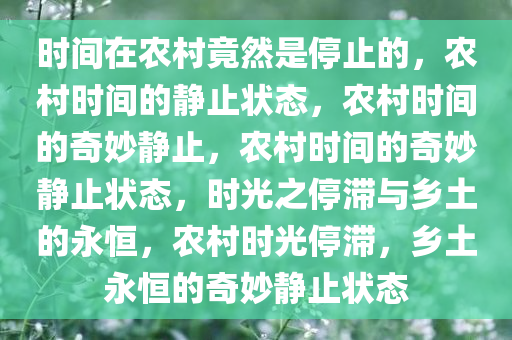 时间在农村竟然是停止的，农村时间的静止状态，农村时间的奇妙静止，农村时间的奇妙静止状态，时光之停滞与乡土的永恒，农村时光停滞，乡土永恒的奇妙静止状态