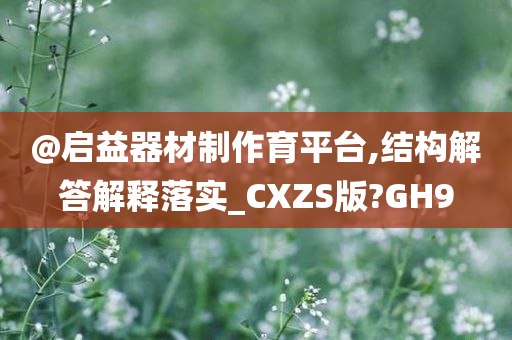 @启益器材制作育平台,结构解答解释落实_CXZS版?GH9