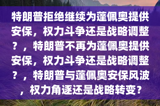 特朗普拒绝继续为蓬佩奥提供安保，权力斗争还是战略调整？，特朗普不再为蓬佩奥提供安保，权力斗争还是战略调整？，特朗普与蓬佩奥安保风波，权力角逐还是战略转变？