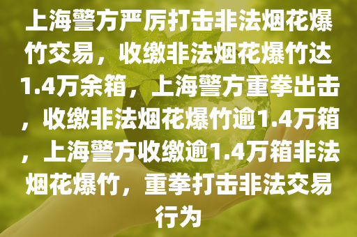 上海警方严厉打击非法烟花爆竹交易，收缴非法烟花爆竹达1.4万余箱，上海警方重拳出击，收缴非法烟花爆竹逾1.4万箱，上海警方收缴逾1.4万箱非法烟花爆竹，重拳打击非法交易行为